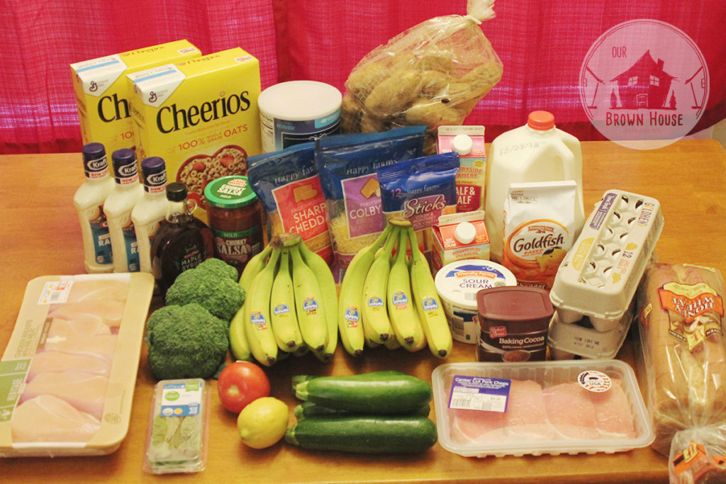 budget grocery shopping 12-10